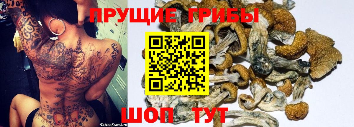 Галлюциногенные грибы Psilocybe  Псилоцибиновые грибы ЛСД  Нерюнгри  где продают   Вход с VPN 